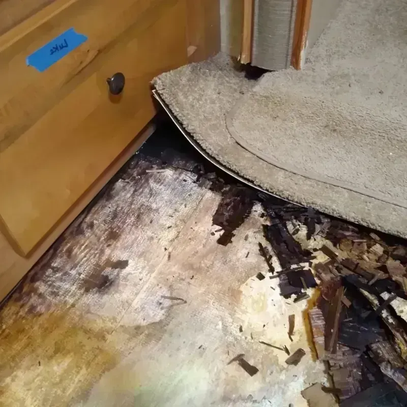 Wood Floor Water Damage in Berwyn, PA